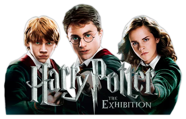 Fotonálepka - Harry Potter - 6