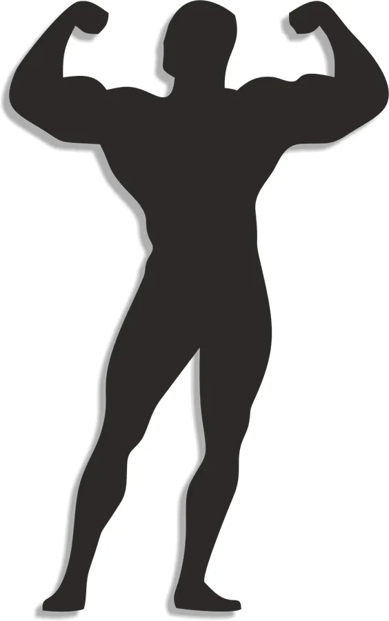 Silueta - Bodybuilder Silák - 1