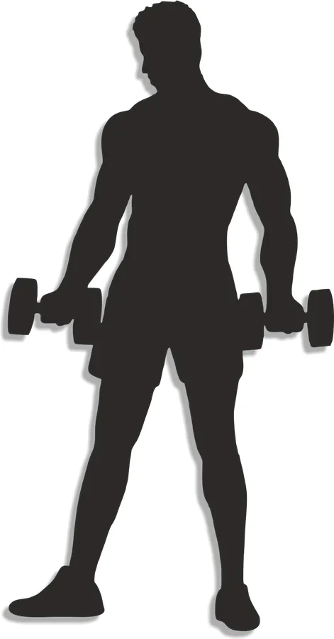 Silueta - Bodybuilder Silák - 2